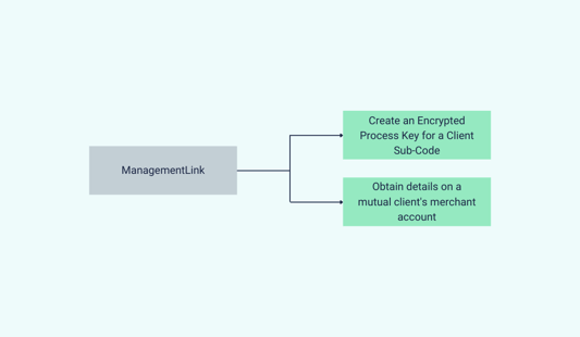ManagementLink (2)